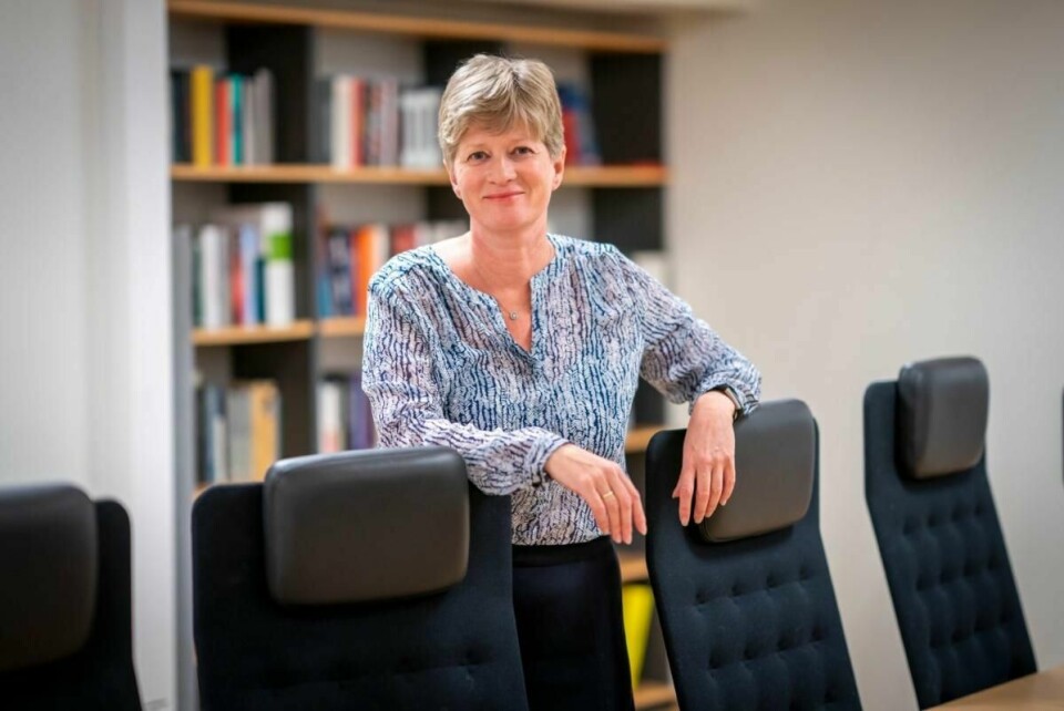 TVIL: Siv Hallgren er leder for Gjenopptakelses-kommisjonen. De sier det er nok tvil til at to dommer bør bli vurdert på nytt. Det dreier seg om to dommer mot flyktninger som har laget falske ID-papirer.