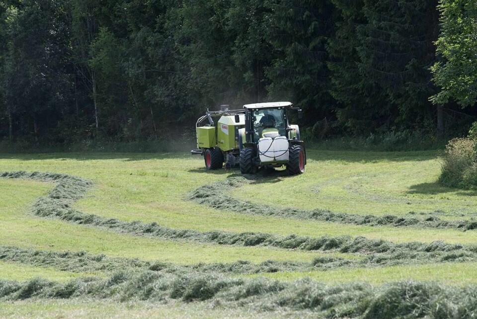 LANDBRUKET: Utlendinger fra land utenfor EØS får komme inn i Norge. Det er dersom de skal jobbe som sesong-arbeidere i landbruket.