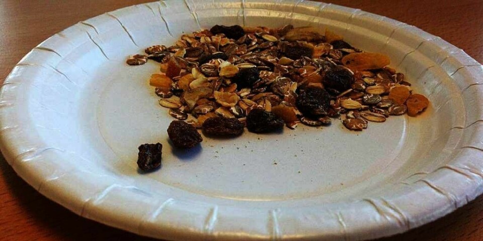 SOPP: Det er funnet muggsopp i rosiner viser en undersøkelse Veterinær-instituttet.