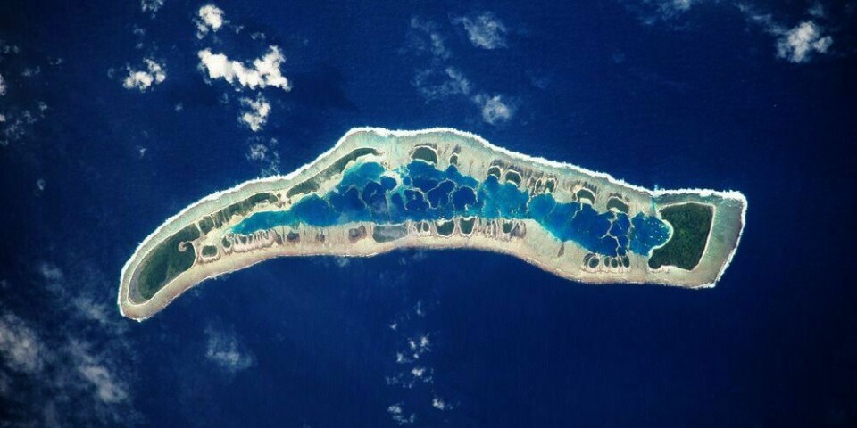 TRUES: Millennium Island er en del av landet Kiribati. Det er én av flere øyer i Stillehavet som kan forsvinne. Årsaken er at klima-endringene kan få havet til å stige. Men ikke alle tror at det kommer til å skje.