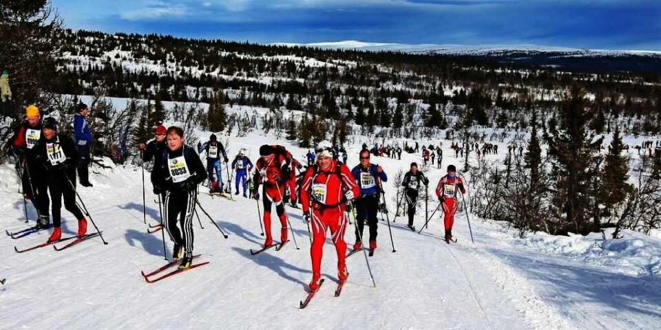 POPULÆRT: Birkebeiner-rennet får stadig flere deltakere. I år skal 16.000 personer gjøre som Petter Northug. De skal gå fem mil på ski.