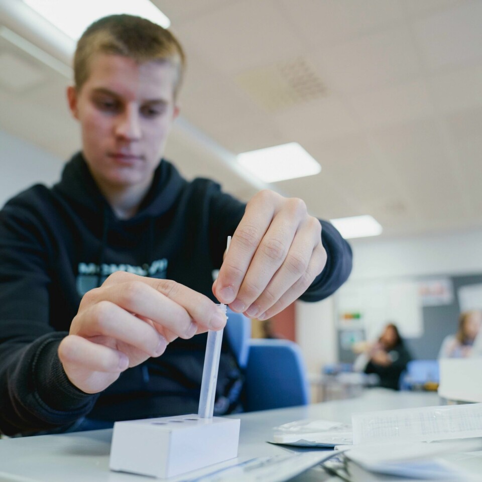 SELVTEST: Agon Shala (15) tar selvtest på Apalløkka skole i Oslo. Det blir mye testing i skolene fremover. Helsedirektoratet har oppfordret elever og ansatte i skoler og barnehager om å teste seg 24 timer før første skoledag. Her tar Agon Shala (15) en selvtest i klasserommet på Apalløkka skole i Oslo i høst. Foto: Stian Lysberg Solum / NTB