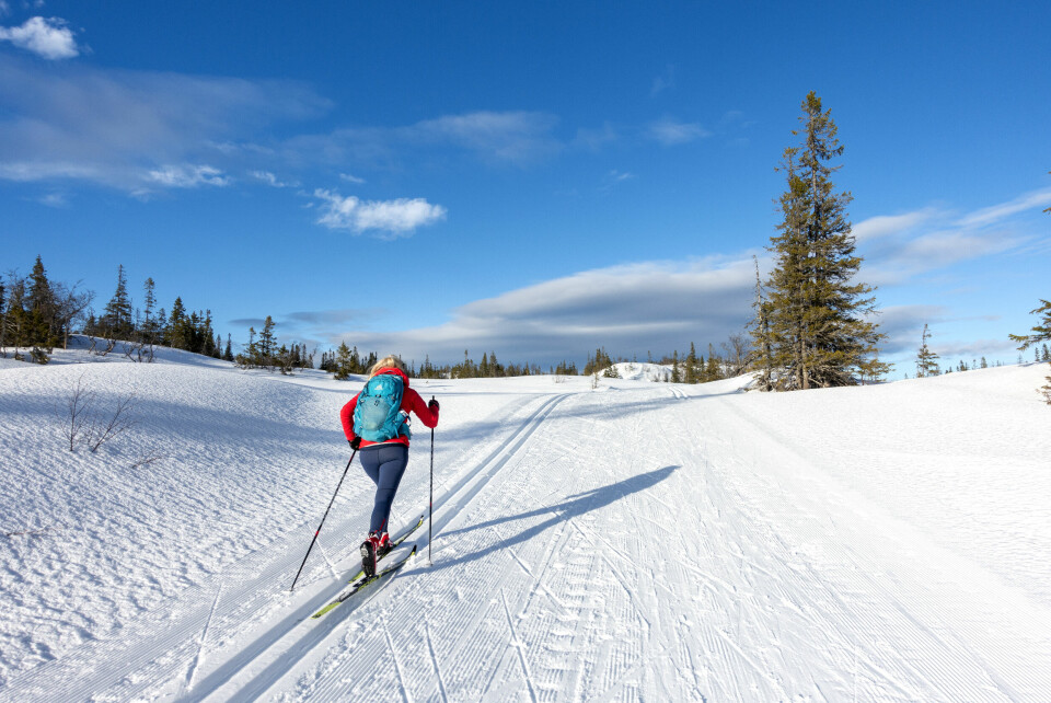 VÆR: Denne uken får vi overgang til vinter, sier meteorolog Sigrid Auganæs. Denne uken får vi overgang til vinter, sier vakthavende meteorolog ved Meteorologisk institutt Sigrid Auganæs. Foto: Gorm Kallestad / NTB