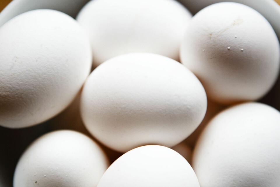 EGG: Felleskjøpet og Mattilsynet ber deg om å sjekke eggene dine. De kan inneholde for mye vitamin D. Eggimporten til Noreg var rekordhøg i 2024. Foto: Cornelius Poppe / NTB/ NPK