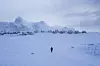 Bildet viser en person som går over snøen på Grønland. Foto: AP Photo/Evgeniy Maloletka/NTB