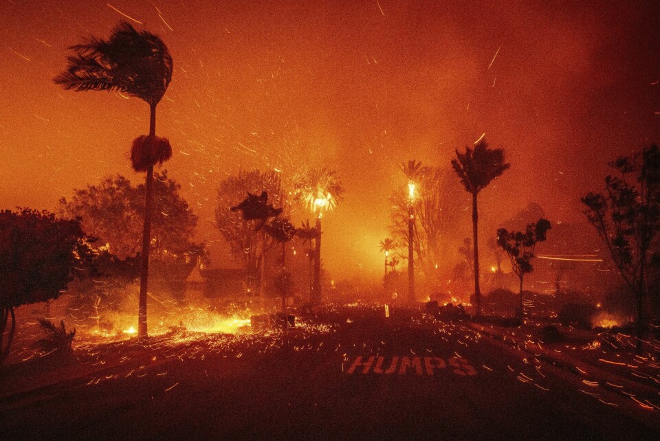 BRANN: Los Angeles er rammet av flere branner. Mange har fått beskjed om å flykte fra hjemmene sine. Bildet viser skogbrann som sprer seg i et nabolag i Los Angeles, USA. Foto: Ethan Swope / AP / NTB