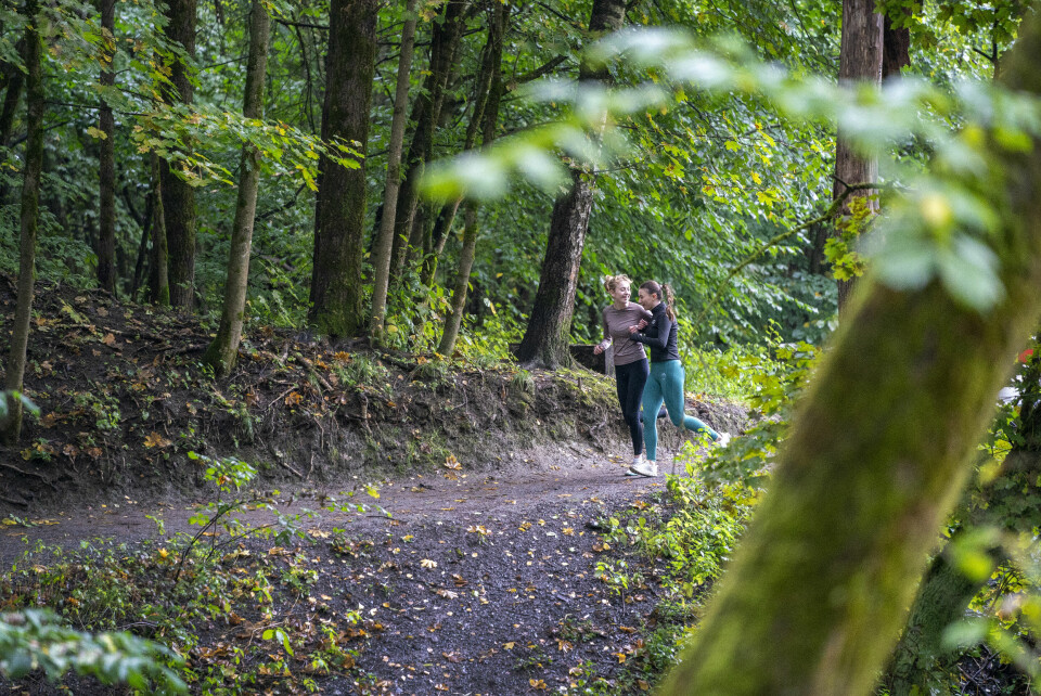 NATUREN: Lykkefølelsen kan være en belønning etter en tung tur. Bildet viser to damer som løper i skogen. Foto: Gorm Kallestad / NTB