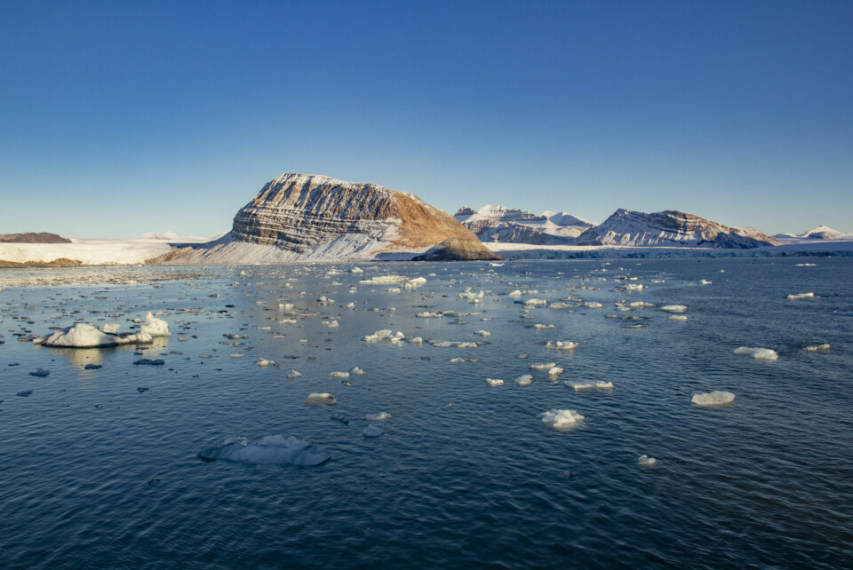 SMELTER: Klimaendringene har mange alvorlige følger. På Svalbard smelter isbreene raskere enn normalt. Smeltande is frå isbrear som kalvar ut i Kongsfjorden ved Ny-Ålesund på Svalbard. Bresmeltinga på Svalbard gjekk i rekordfart i 2024. Foto: Are Føli / NTB