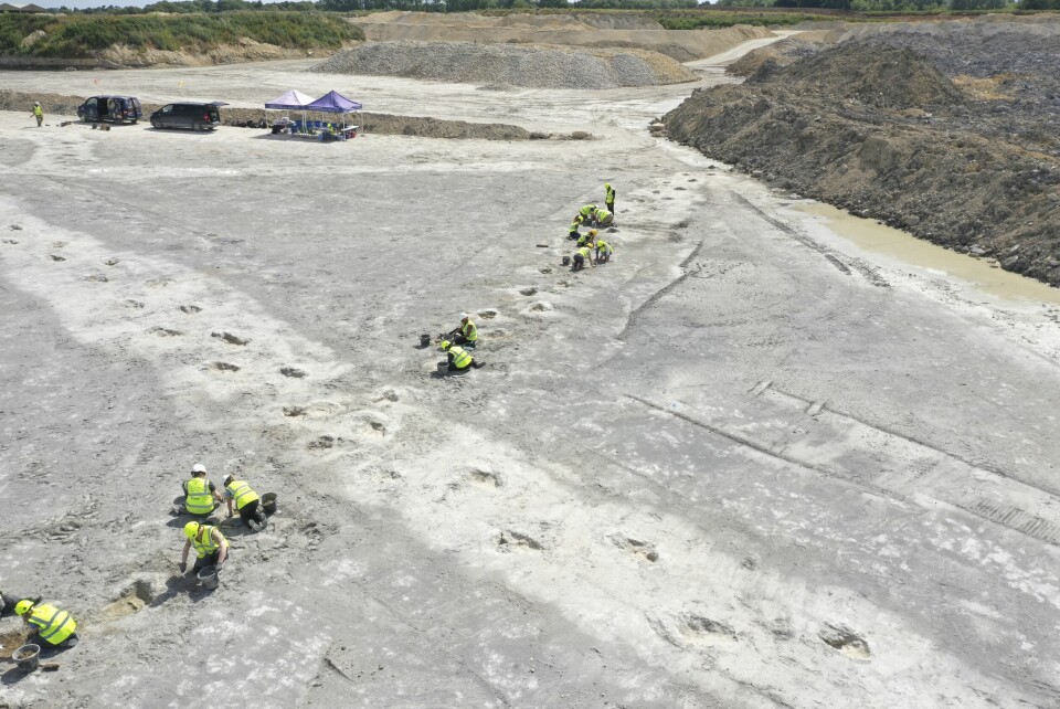 FANT SPOR: Forskere har funnet 166 millioner år gamle dinosaurspor i Oxfordshire. Sporene er godt bevart. Bildet viser folk som jobber med dinosaursporene som ble funnet i Oxfordshire i England i sommer. Foto: University of Birmingham via AP / NTB