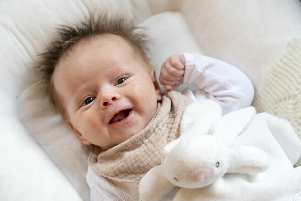 FORSKNING: Babyer har bratt læringskurve, men husker ingenting fra den først tiden. Forskere har forsøkt å finne ut hvorfor. Bildet viser en baby med et kosedyr. Foto: Gorm Kallestad / NTB