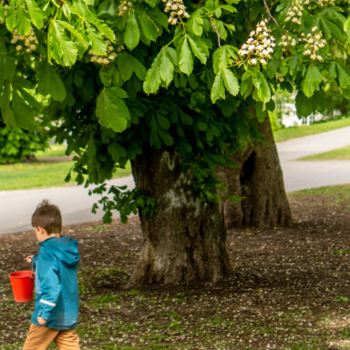 Våren kommer tidligere