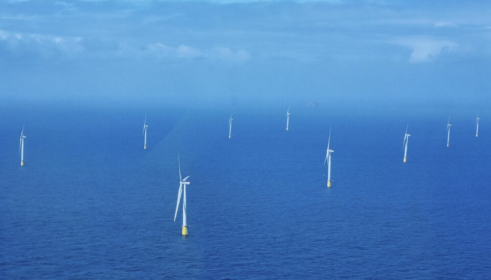 KRAFT: Flytende vindmøller langt ute på havet. Disse møllene hører til havvindparken Hywind Tampen. Flytende vindturbiner står plassert langt ute på havet under blå himmel. Vindturbinene er del av en havvindpark.