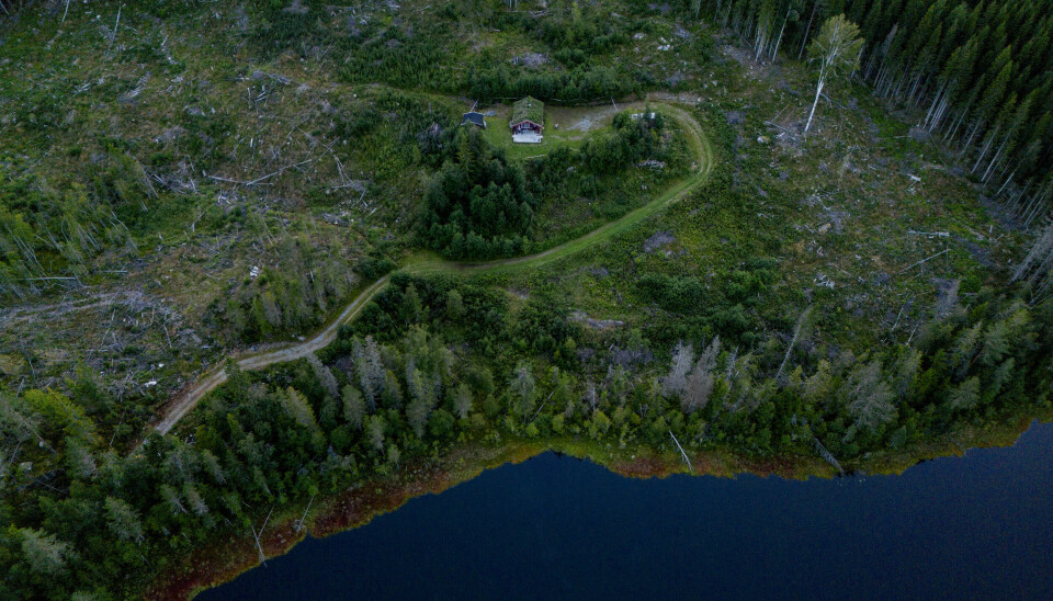 JONAS-SAKEN: Jonas Aarseth Henriksen ble funnet skutt og drept i dette området i august 2023.