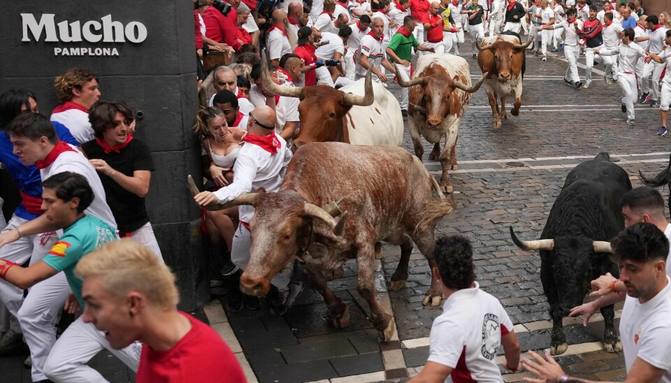 TRADISJON: Okseløp er en av tradisjonene under festivalen San Fermín i Pamplona i Spania.