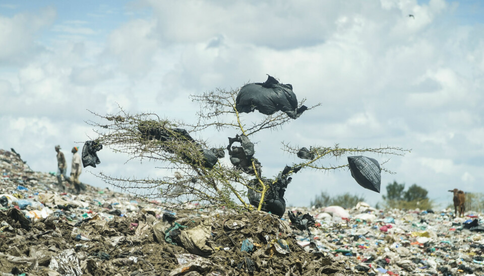 SØPPELFJELL: Store mengder av det vi kaster ender opp på enorme søppeldynger i det Afrika og Asia. Bildet viser en søppeldynge i Nairobi, Kenya. En tre er nesten begravet i søppel, og sorte poser henger i greinene.