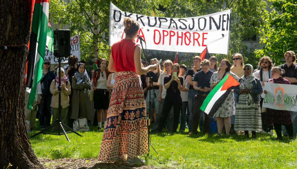 FOLKESTYRT: Professor Dag Henrik Tuastad mener politikerne i stor grad blir påvirket av folkets mening om krigen. Bildet er fra da over 100 personer møtte opp på student-demonstrasjon for Gaza i Oslo. Bildet viser en kvinne som taler foran en folkemengde. Folk har på seg palestinaskjerf og holder palestinske flagg. Noen holder en plakat hvor det står «okkupasjonen må opphøre».