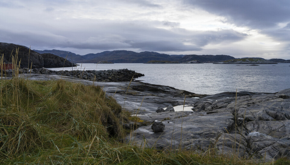 Strandområde i Grense Jakobselv i Sør-Varanger kommune.