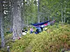 Bilde av folk som sover ute i hengekøye i skogen. Foto: Gorm Kallestad / NTB