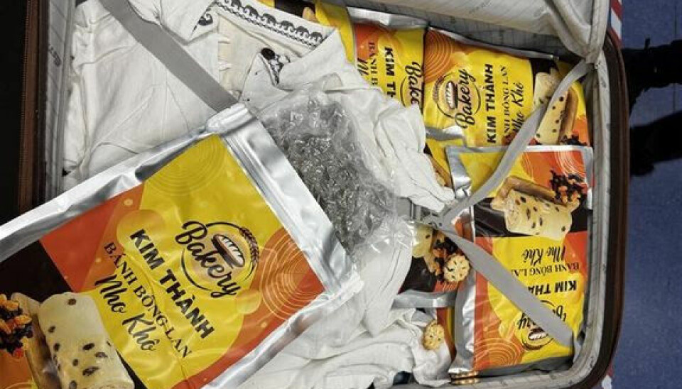 MARIHUANA: Smuglere smugler stadig mer marihuana via innsjekket bagasje, ifølge Tolletaten.