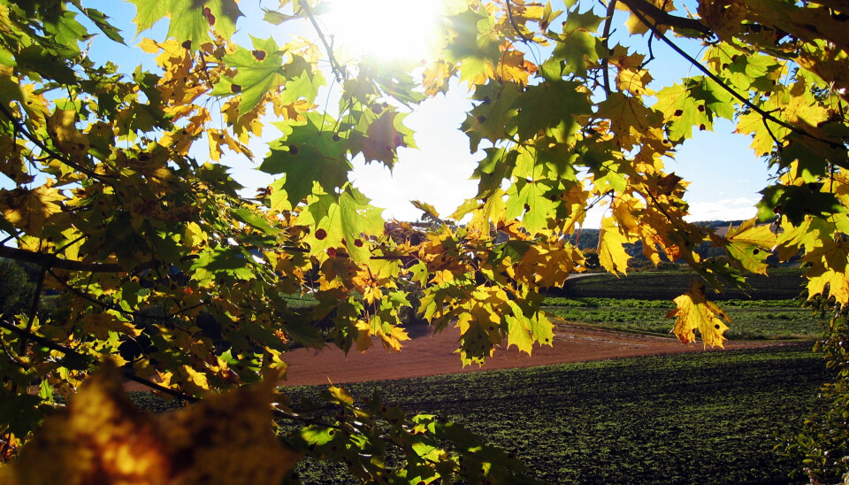 GANSKE BRA: Flere steder i landet kan vente seg ganske bra vær de neste dagene.