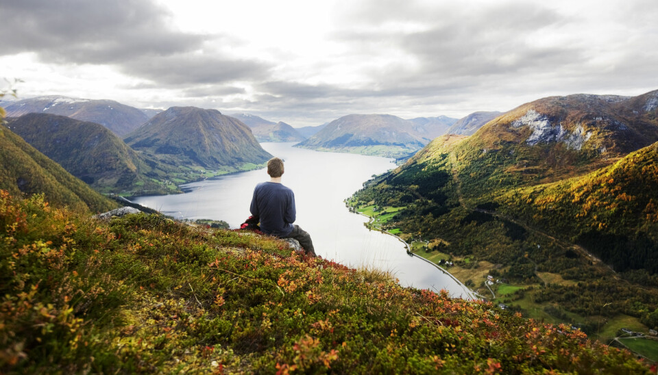 FJORD OG FJELL: Norge er et langstrakt land – med hundrevis av dialekter. Bildet viser en mann som nyter utsikten over en fjord. Foto: Kyrre Lien / NTB